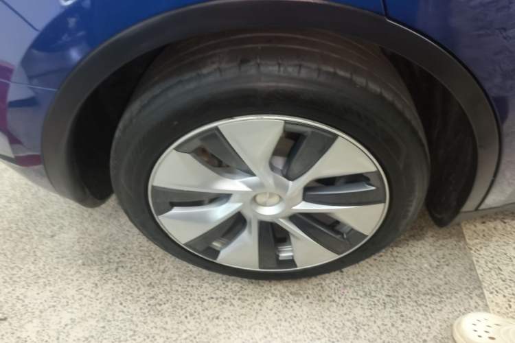 Used Tesla Model Y 2021 Standard Range Rear-Wheel Drive Version Exterior 3