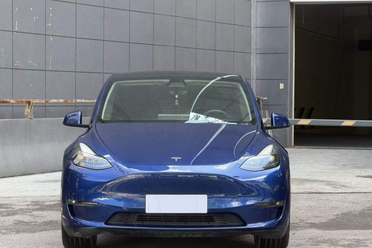 Used Tesla Model Y 2021 Standard Range Rear-Wheel Drive Version Exterior 4