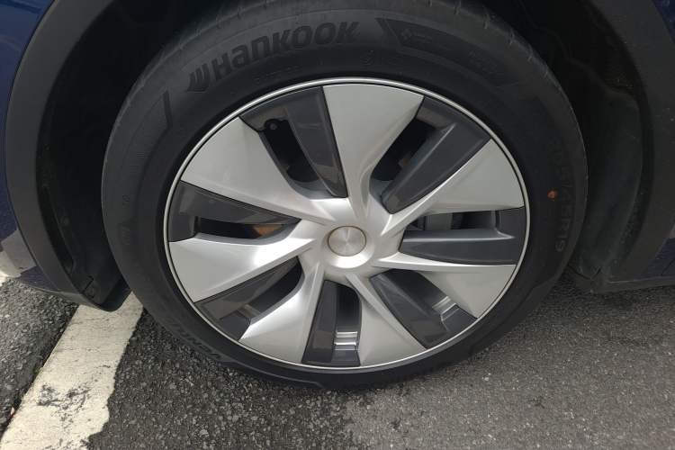 Used Tesla Model Y 2021 Standard Range Rear-Wheel Drive Version Exterior 4