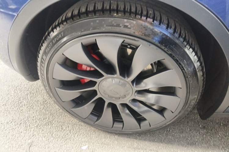 Used Tesla Model Y 2021 Performance High-Performance All-Wheel-Drive Version Exterior 5