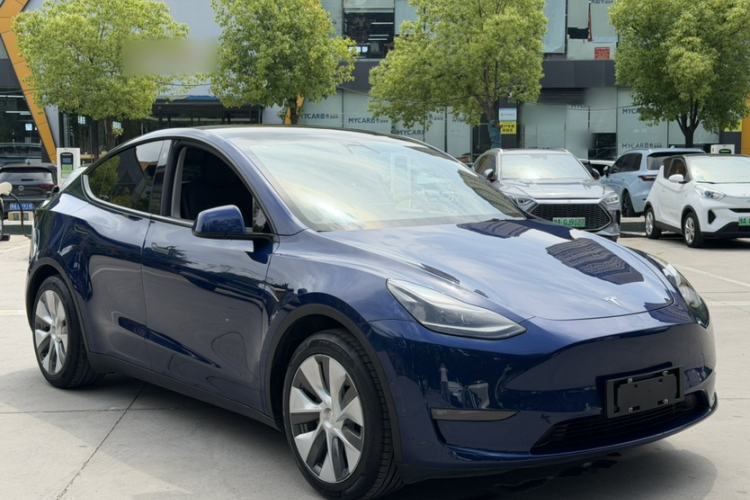 Used Tesla Model Y 2021 Standard Range Rear-Wheel Drive Version Exterior 5