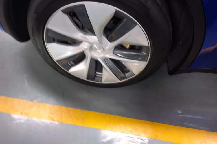 Used Tesla Model Y 2021 Standard Range Rear-Wheel Drive Version Exterior 5