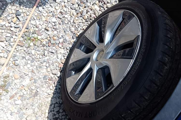 Used Tesla Model Y 2021 Long-Range All-Wheel-Drive Version 3D7 Exterior 5
