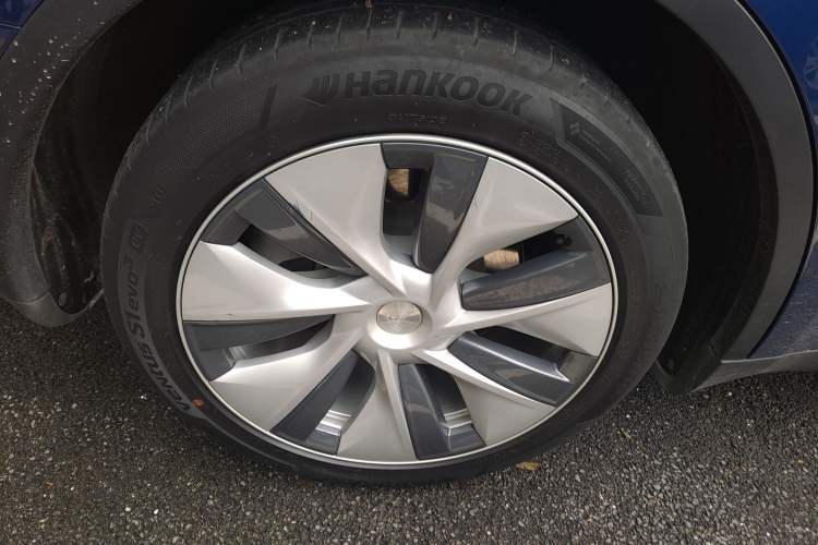 Used Tesla Model Y 2021 Standard Range Rear-Wheel Drive Version Exterior 5