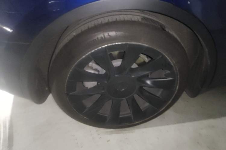 Used Tesla Model Y 2021 Long-Range All-Wheel-Drive Version Exterior 5