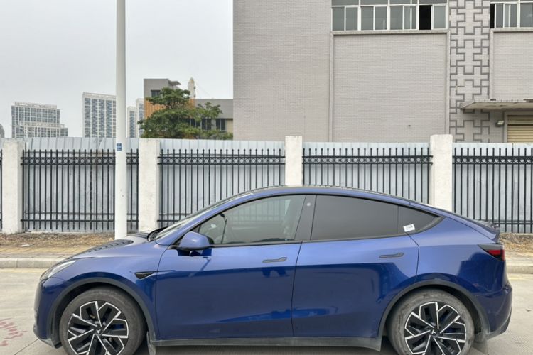Used Tesla Model Y 2021 Standard Range Rear-Wheel Drive Version Exterior 6