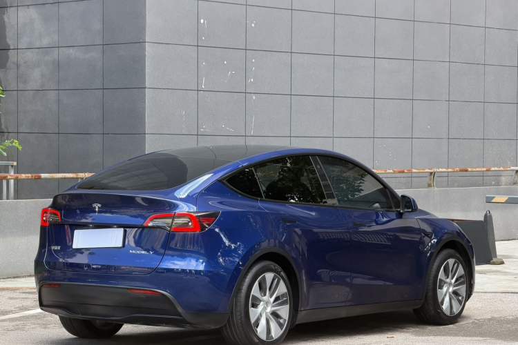 Used Tesla Model Y 2021 Standard Range Rear-Wheel Drive Version Exterior 6