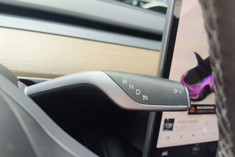 Used Tesla Model Y 2021 Performance High-Performance All-Wheel-Drive Version Gear Lever