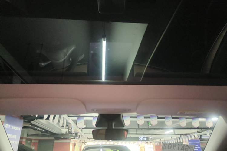 Used Tesla Model Y 2021 Long-Range All-Wheel-Drive Version Headliner