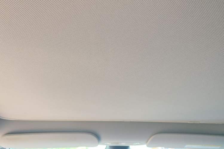 Used Tesla Model Y 2021 Standard Range Rear-Wheel Drive Version Headliner