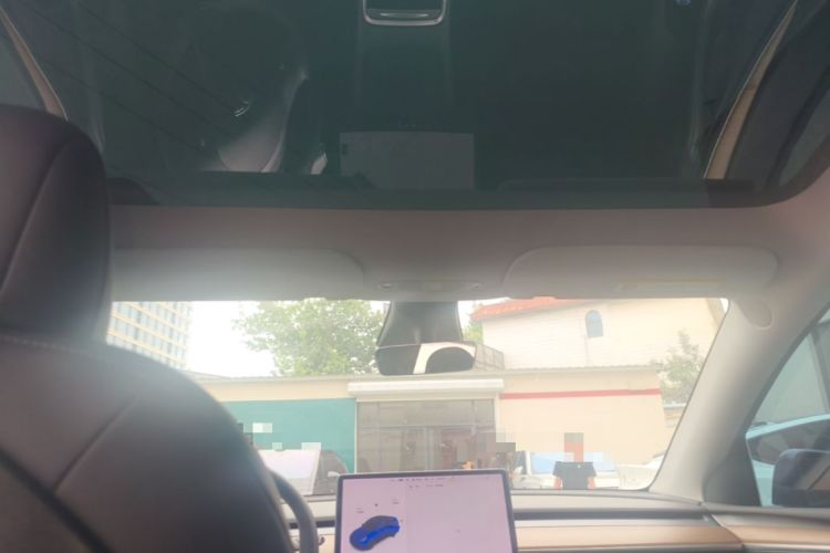Used Tesla Model Y 2021 Long-Range All-Wheel-Drive Version Headliner