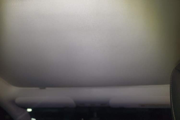 Used Tesla Model Y 2021 Standard Range Rear-Wheel Drive Version Headliner