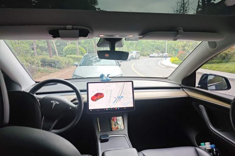 Used Tesla Model Y 2021 Standard Range Rear-Wheel Drive Version Headliner