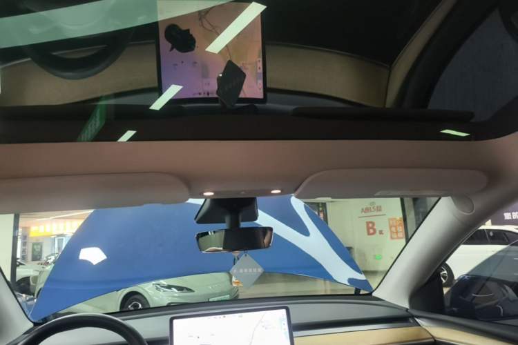Used Tesla Model Y 2021 Standard Range Rear-Wheel Drive Version Headliner