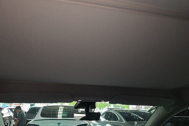 Used Tesla Model Y 2021 Standard Range Rear-Wheel Drive Version Headliner