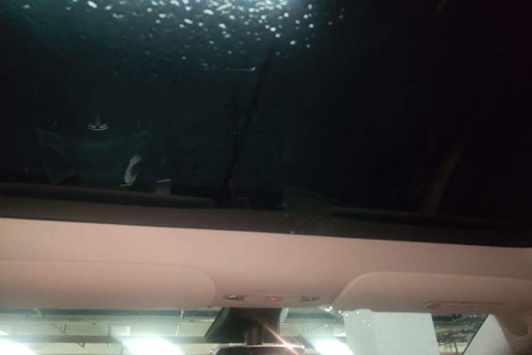 Used Tesla Model Y 2021 Long-Range All-Wheel-Drive Version Headliner