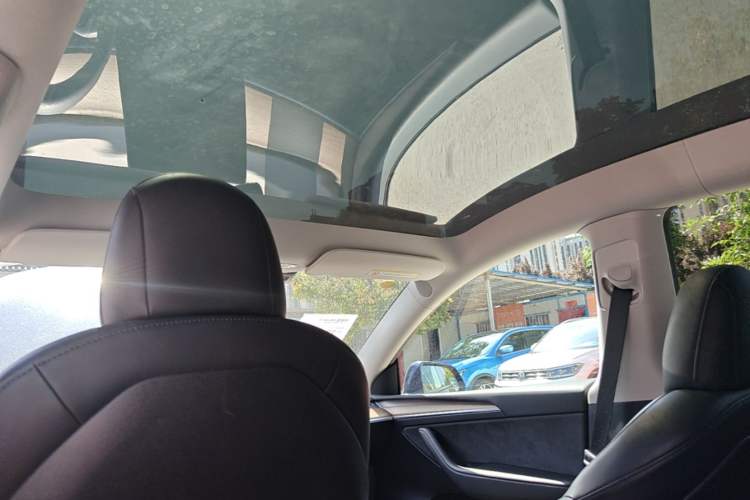 Used Tesla Model Y 2021 Long-Range All-Wheel-Drive Version Headliner
