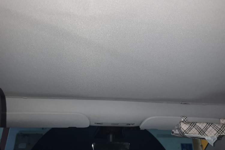 Used Tesla Model Y 2021 Standard Range Rear-Wheel Drive Version Headliner