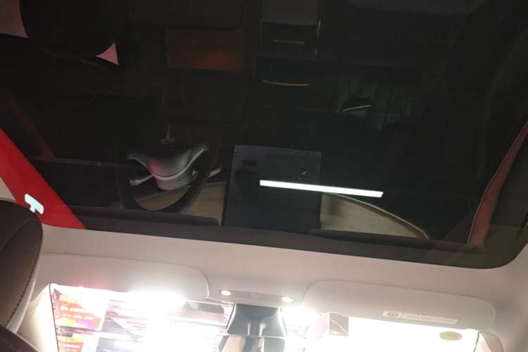 Used Tesla Model Y 2021 Long-Range All-Wheel-Drive Version 3D7 Headliner