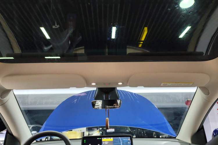 Used Tesla Model Y 2021 Standard Range Rear-Wheel Drive Version Headliner