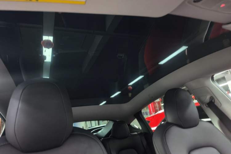 Used Tesla Model Y 2021 Standard Range Rear-Wheel Drive Version Headliner