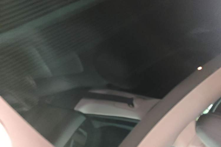 Used Tesla Model Y 2021 Long-Range All-Wheel-Drive Version Headliner