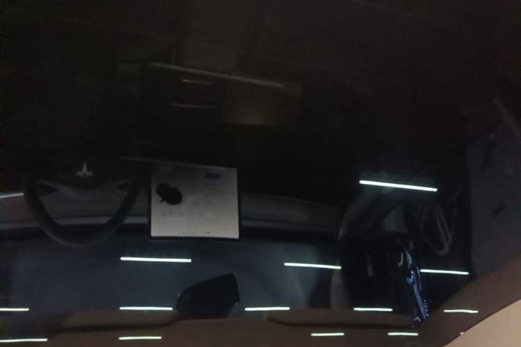 Used Tesla Model Y 2021 Standard Range Rear-Wheel Drive Version Headliner