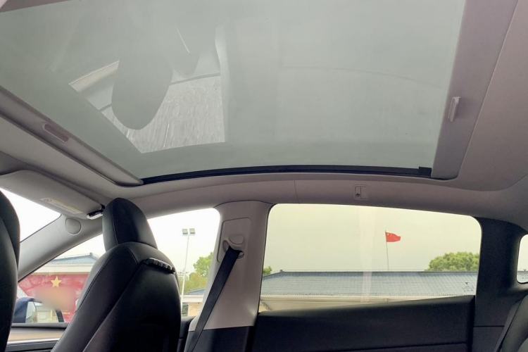 Used Tesla Model Y 2021 Long-Range All-Wheel-Drive Version Headliner