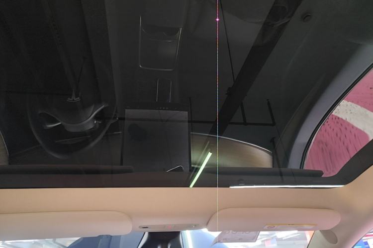 Used Tesla Model Y 2021 Long-Range All-Wheel-Drive Version Headliner