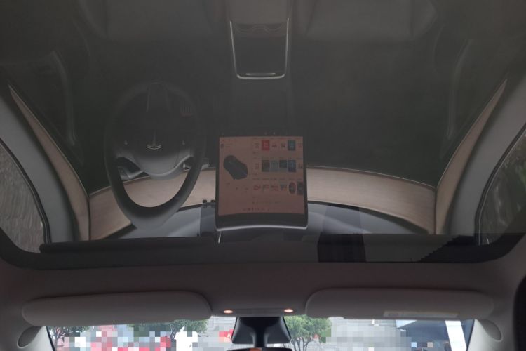 Used Tesla Model Y 2021 Standard Range Rear-Wheel Drive Version Headliner