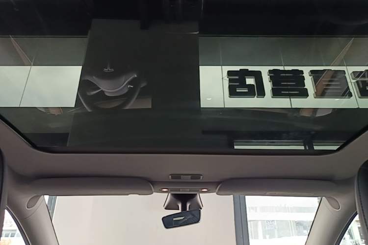 Used Tesla Model Y 2021 Long-Range All-Wheel-Drive Version Headliner
