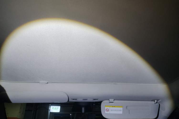 Used Tesla Model Y 2021 Standard Range Rear-Wheel Drive Version Headliner