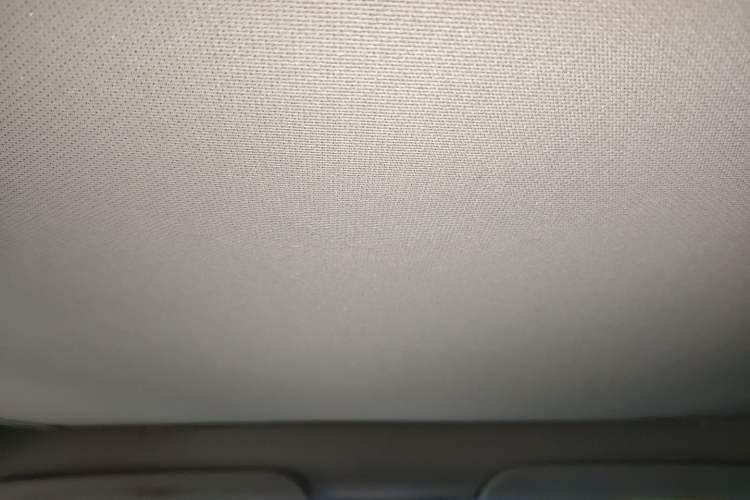 Used Tesla Model Y 2021 Long-Range All-Wheel-Drive Version 3D7 Headliner