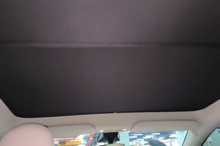 Used Tesla Model Y 2021 Performance High-Performance All-Wheel-Drive Version Headliner