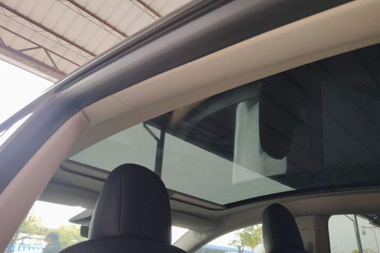 Used Tesla Model Y 2021 Performance High-Performance All-Wheel-Drive Version Headliner