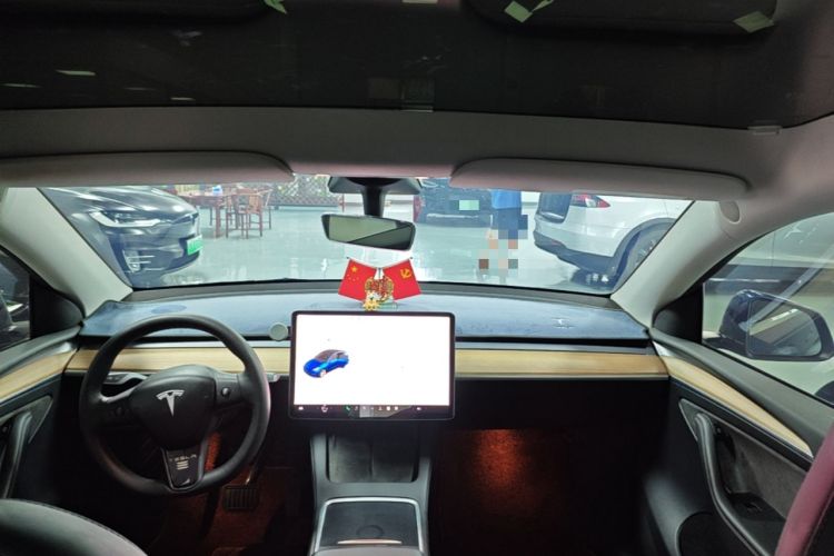 Used Tesla Model Y 2021 Standard Range Rear-Wheel Drive Version Headliner