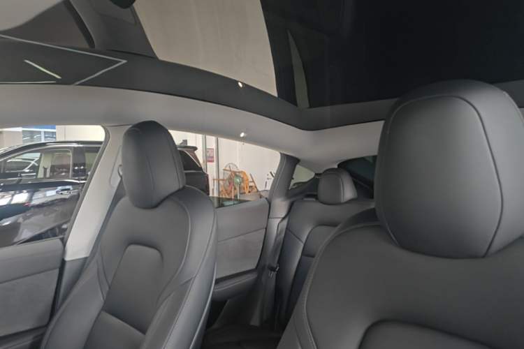 Used Tesla Model Y 2021 Standard Range Rear-Wheel Drive Version Headliner