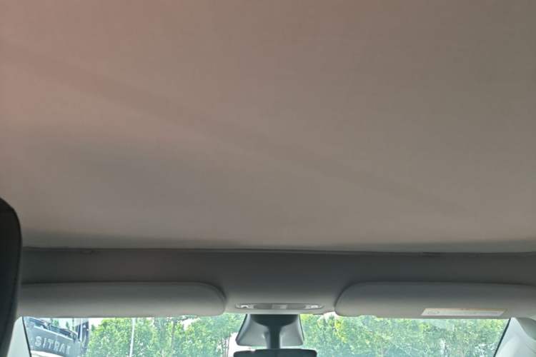 Used Tesla Model Y 2021 Standard Range Rear-Wheel Drive Version Headliner