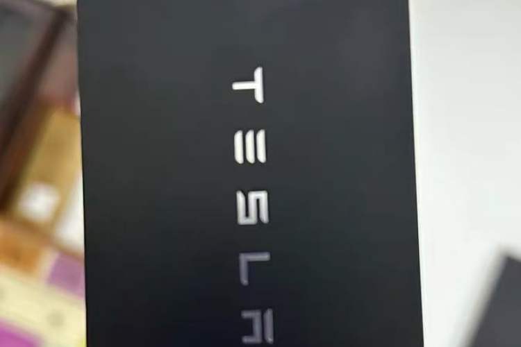 Used Tesla Model Y 2021 Standard Range Rear-Wheel Drive Version Interior 1