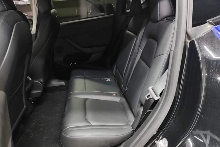 Used Tesla Model Y 2021 Long-Range All-Wheel-Drive Version 3D7 Left Rear Seat