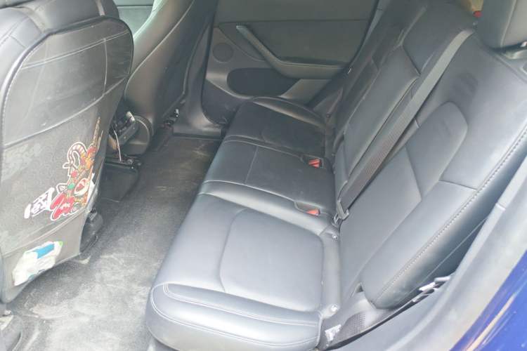 Used Tesla Model Y 2021 Standard Range Rear-Wheel Drive Version Left Rear Seat