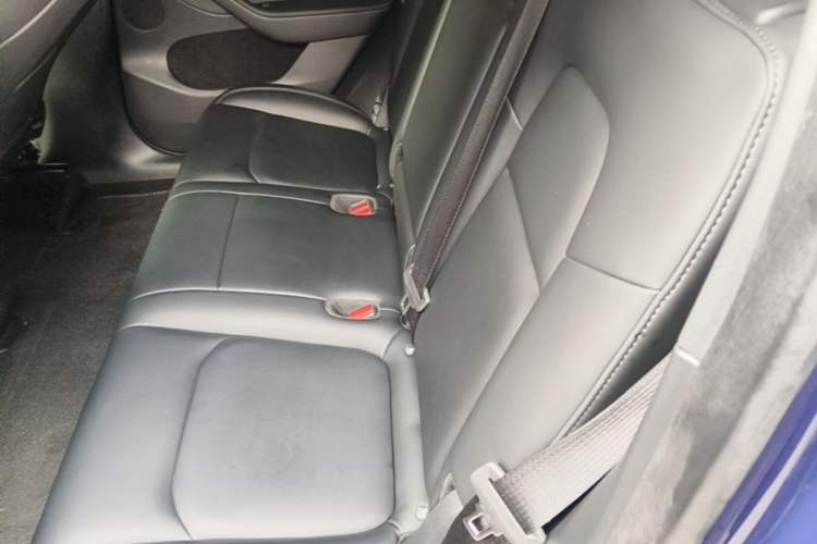 Used Tesla Model Y 2021 Performance High-Performance All-Wheel-Drive Version Left Rear Seat