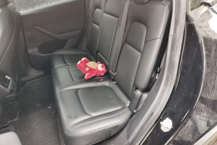 Used Tesla Model Y 2021 Long-Range All-Wheel-Drive Version Left Rear Seat