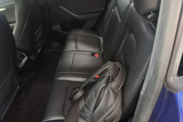 Used Tesla Model Y 2021 Standard Range Rear-Wheel Drive Version Left Rear Seat