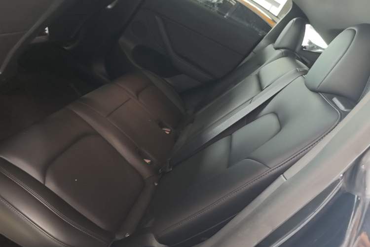 Used Tesla Model Y 2021 Standard Range Rear-Wheel Drive Version Left Rear Seat