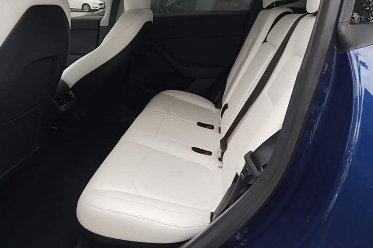 Used Tesla Model Y 2021 Long-Range All-Wheel-Drive Version 3D7 Left Rear Seat