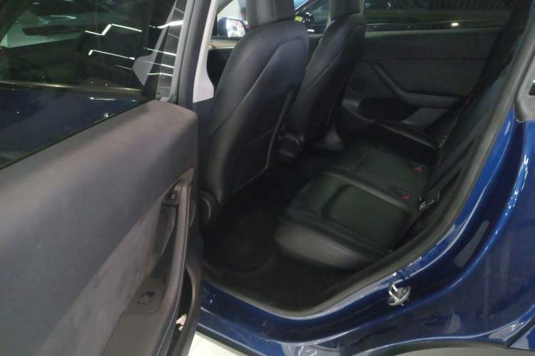 Used Tesla Model Y 2021 Standard Range Rear-Wheel Drive Version Left Rear Seat
