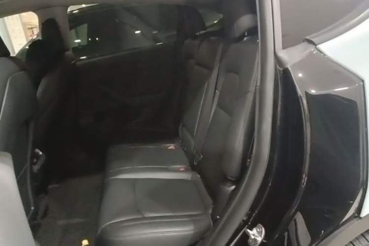 Used Tesla Model Y 2021 Standard Range Rear-Wheel Drive Version Left Rear Seat