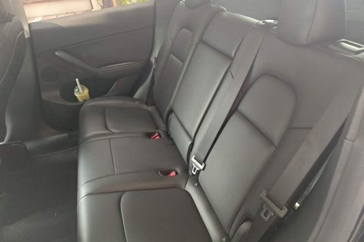 Used Tesla Model Y 2021 Standard Range Rear-Wheel Drive Version Left Rear Seat