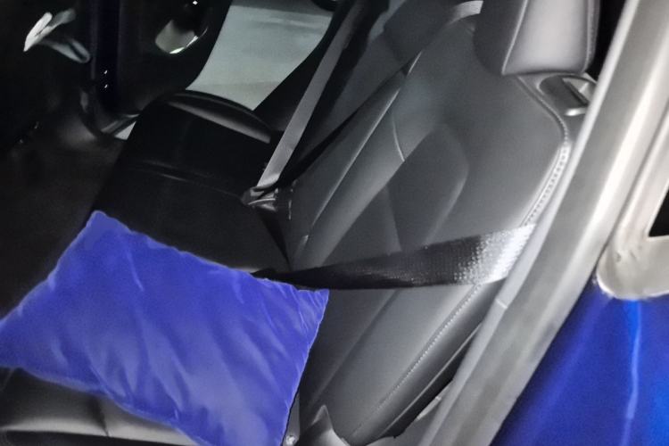 Used Tesla Model Y 2021 Standard Range Rear-Wheel Drive Version Left Rear Seat